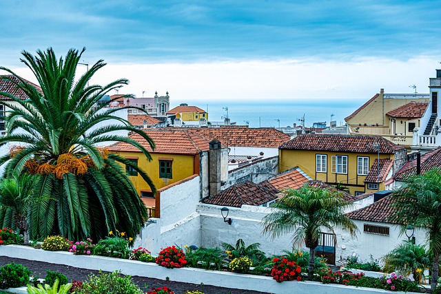 tenerife reformas